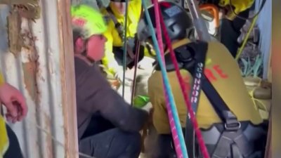 Rescatan a un adolescente de 15 años y a dos perros de un perro en el condado Nevada