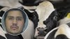 Captan a empleado de una lechería torturando a una vaca con descargas eléctricas en Merced