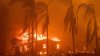 Sobrevivientes de incendios en EEUU podrían ver reducidas sus compensaciones por impuestos